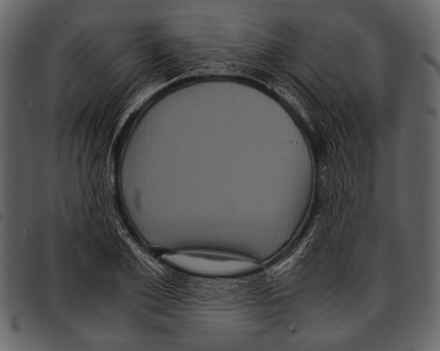 X0000097480981200803201506