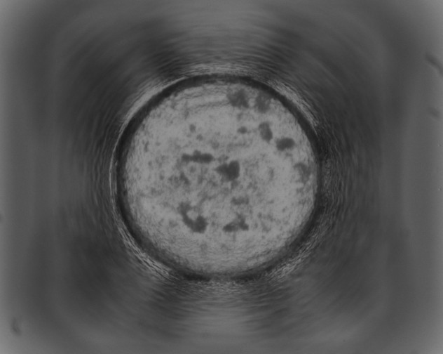 X0000097480983200803201506