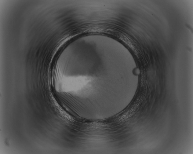 X0000097480984200803201506