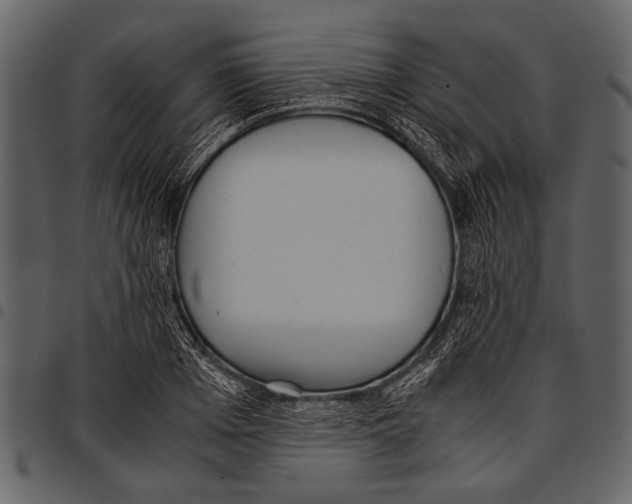 X0000097480985200803201506