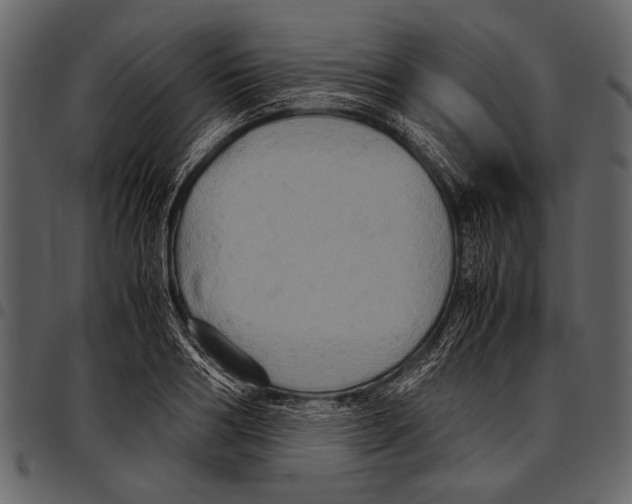 X0000097480986200803201506