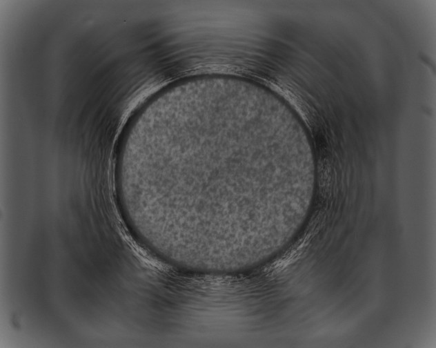 X0000097480987200803201505