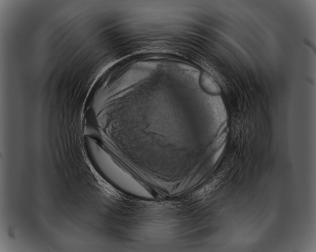 X0000097480988200803201505