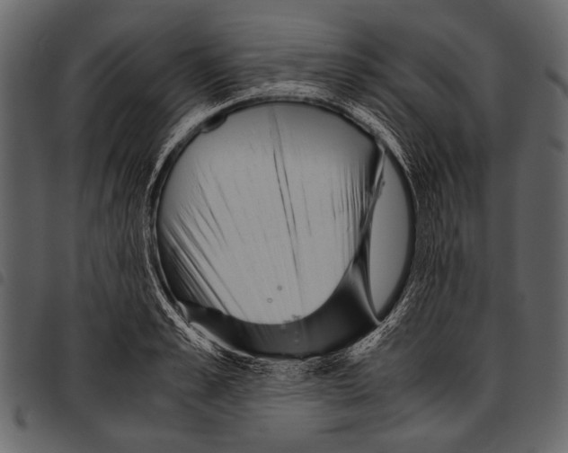 X0000097480989200803201505