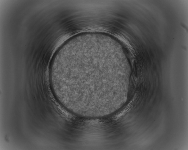 X0000097480990200803201505