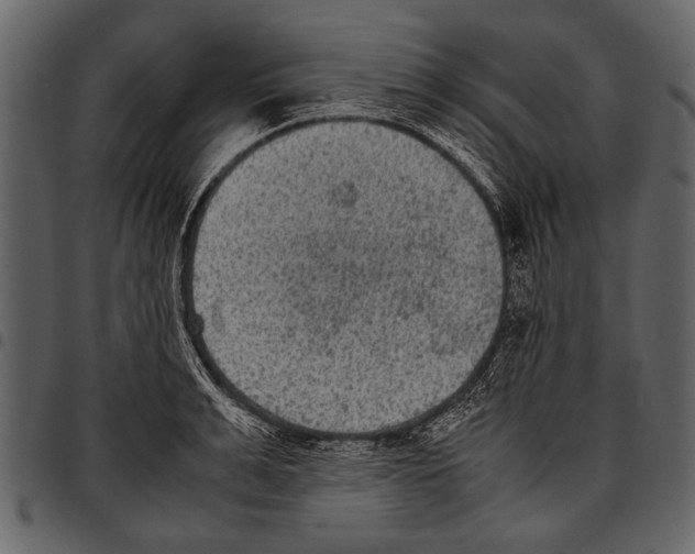 X0000097480991200803201505