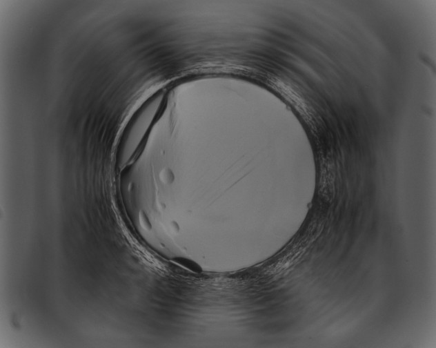 X0000097480992200803201505