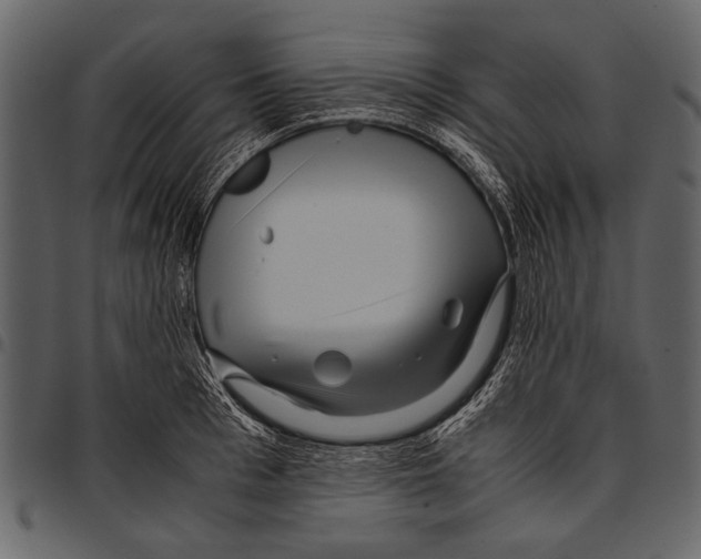 X0000097480993200803201505