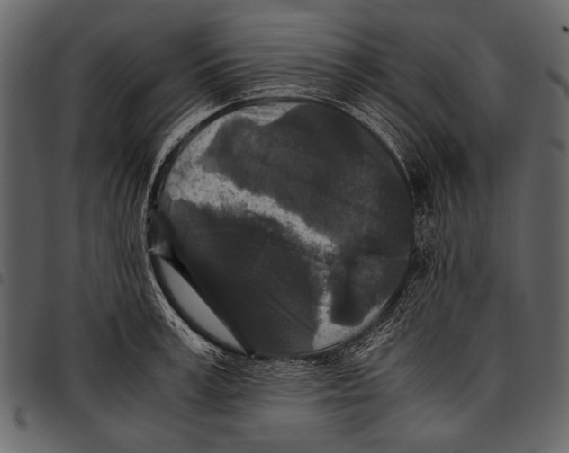 X0000097480995200803201505