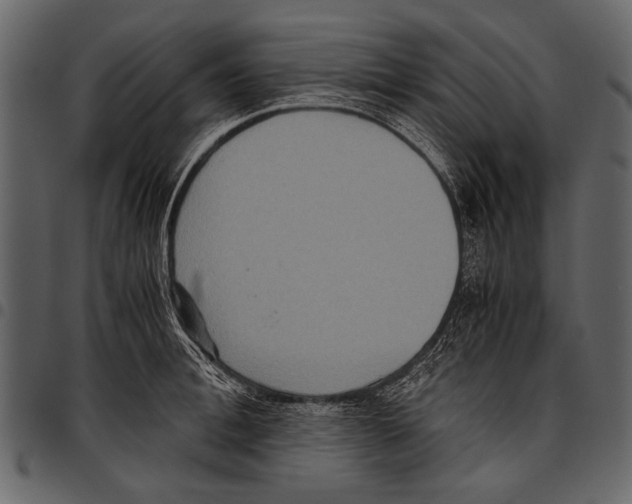 X0000097480996200803201505