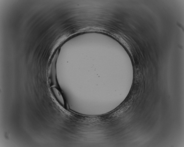 X0000097480997200803201505