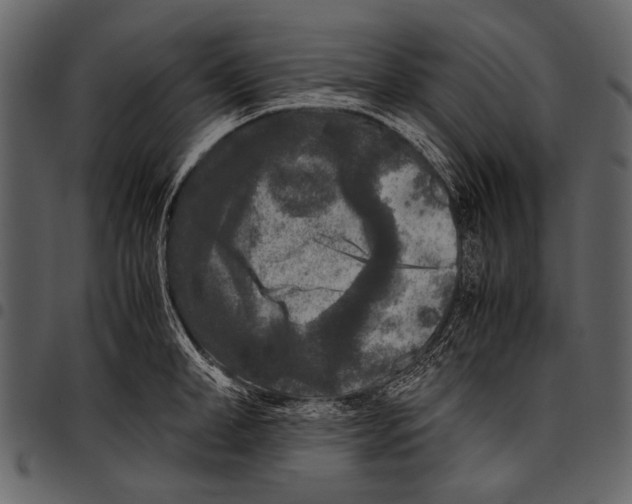 X0000097480998200803201505