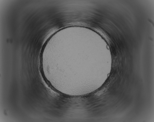 X0000097480999200803201505