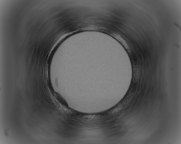 X0000097481000200803201505