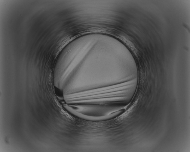 X0000097481001200803201505