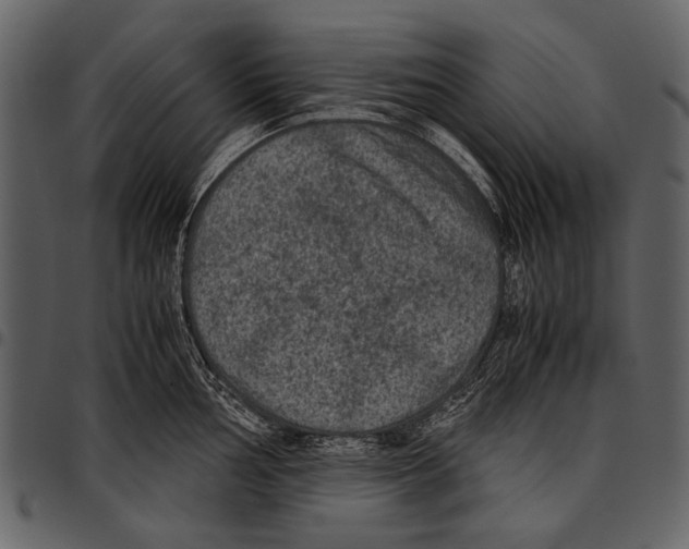 X0000097481002200803201505