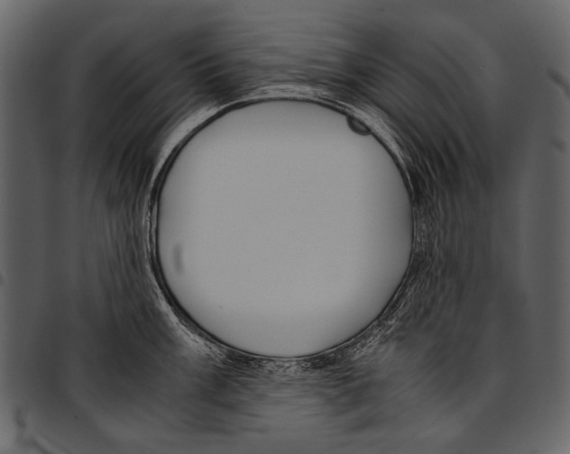 X0000097481003200803201505