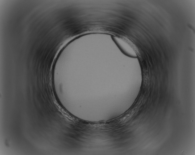 X0000097481004200803201505