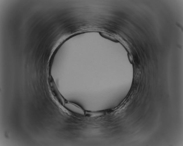 X0000097481005200803201505