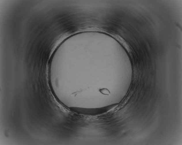 X0000097481006200803201505