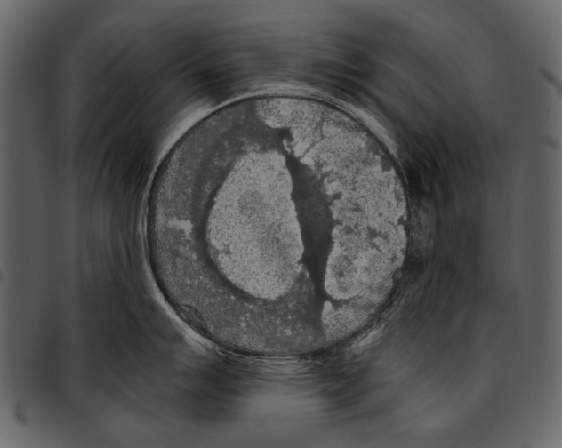 X0000097481007200803201505