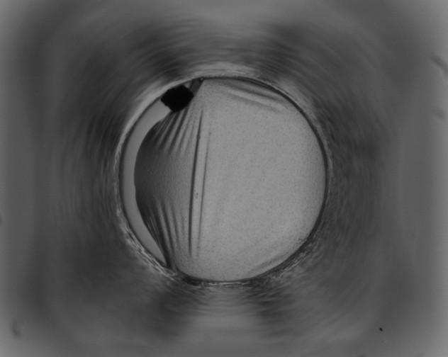 X0000097481008200803201505