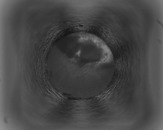 X0000097481009200803201505