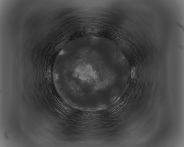 X0000097481011200803201505