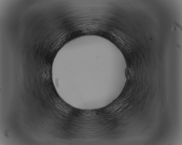 X0000097481012200803201505