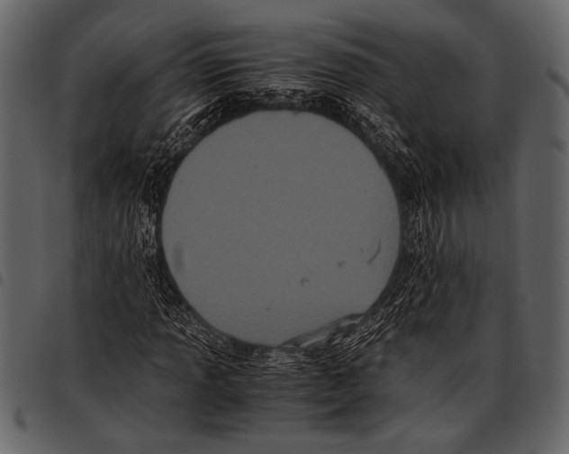 X0000097481013200803201505