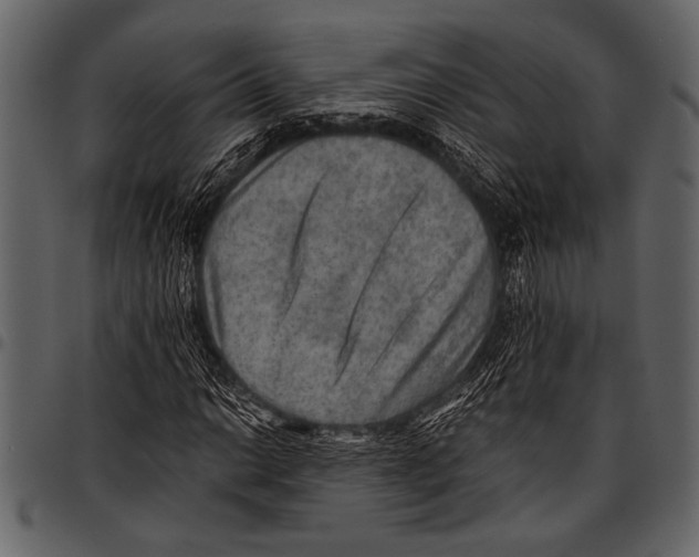 X0000097481014200803201505