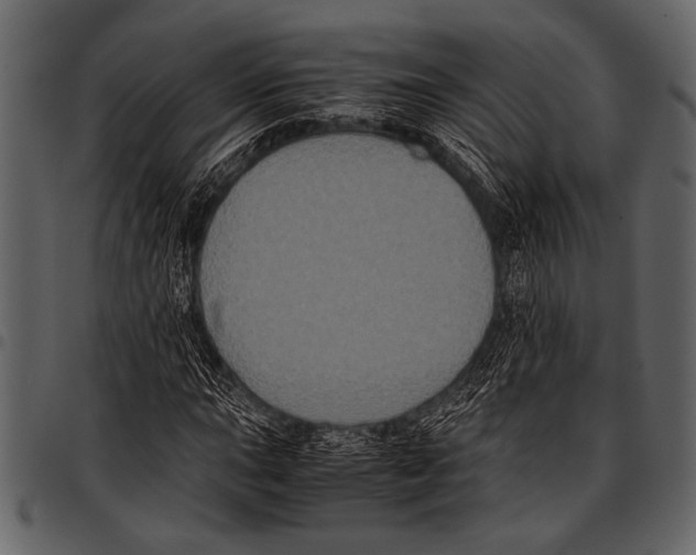 X0000097481015200803201505