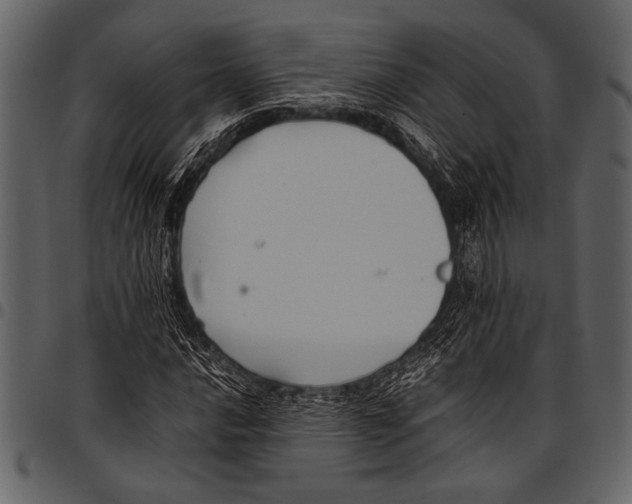 X0000097481016200803201505