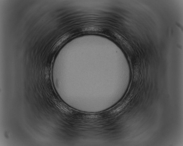 X0000097481017200803201505