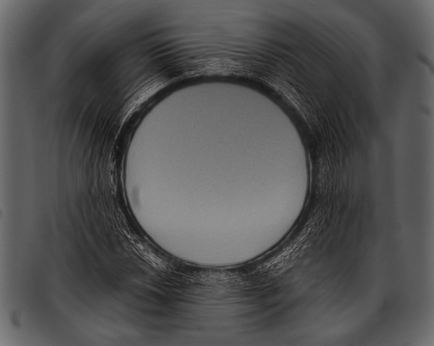 X0000097481018200803201505