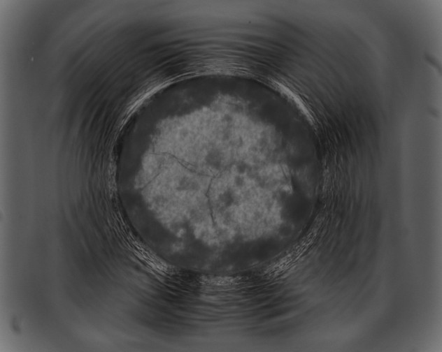 X0000097481019200803201505