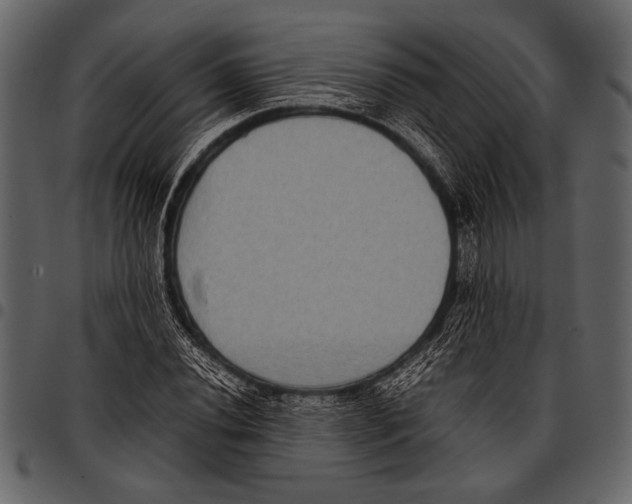 X0000097481020200803201505