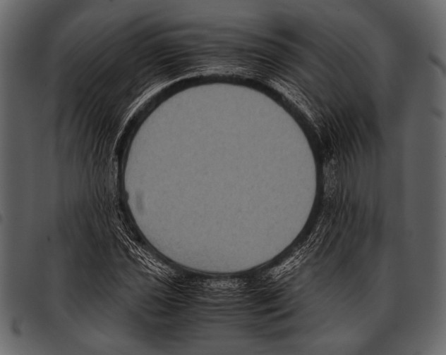 X0000097481021200803201505