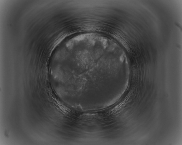 X0000097481023200803201505