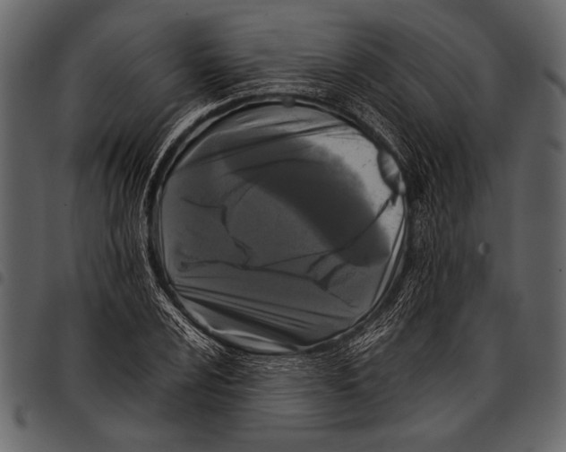 X0000097481024200803201505