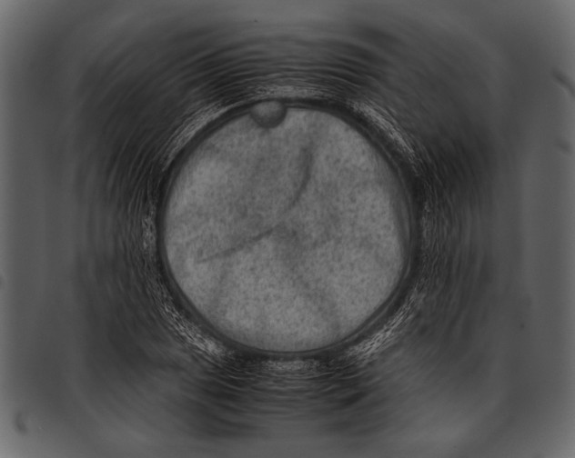 X0000097481025200803201505