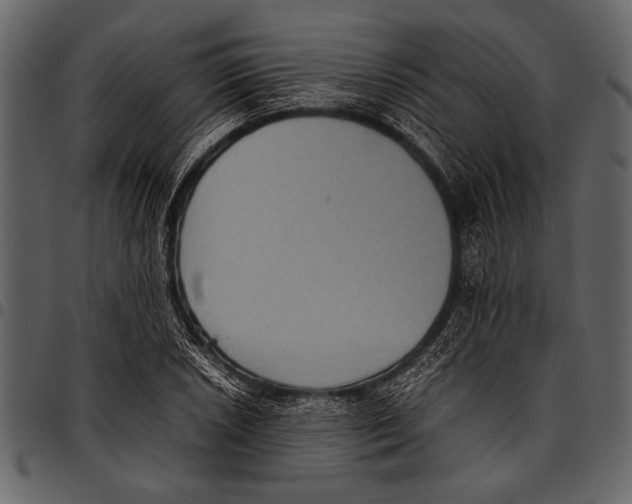 X0000097481026200803201505