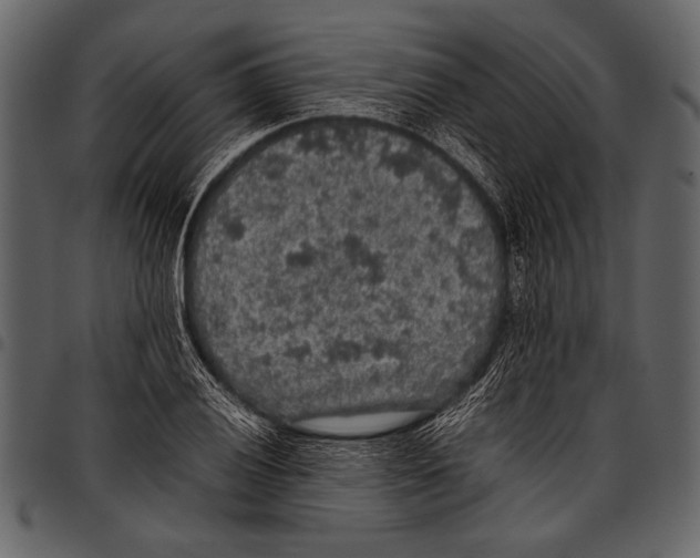 X0000097481028200803201505