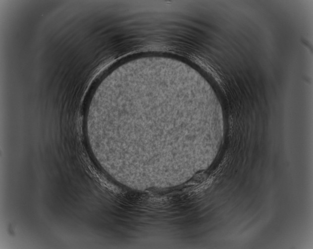 X0000097481029200803201505