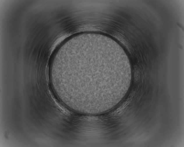 X0000097481030200803201505