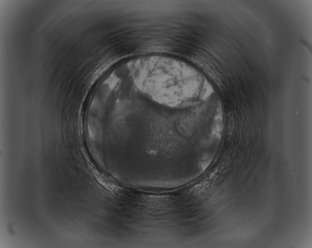 X0000097481031200803201505