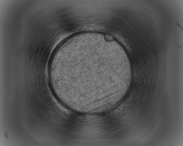 X0000097481032200803201505