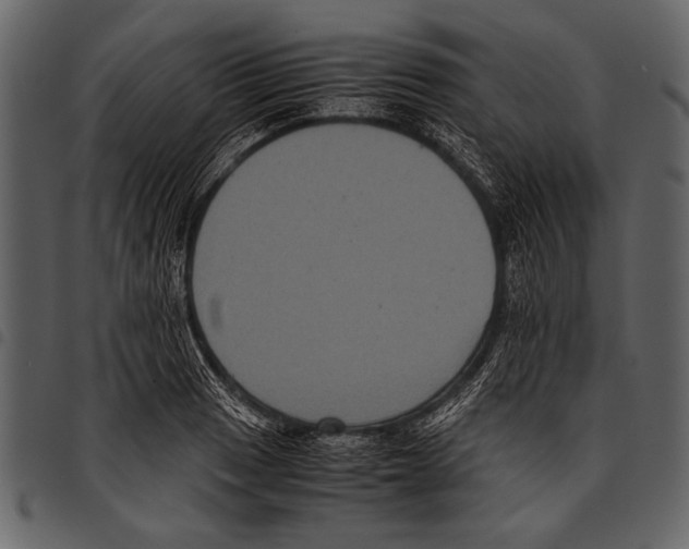 X0000097481033200803201505