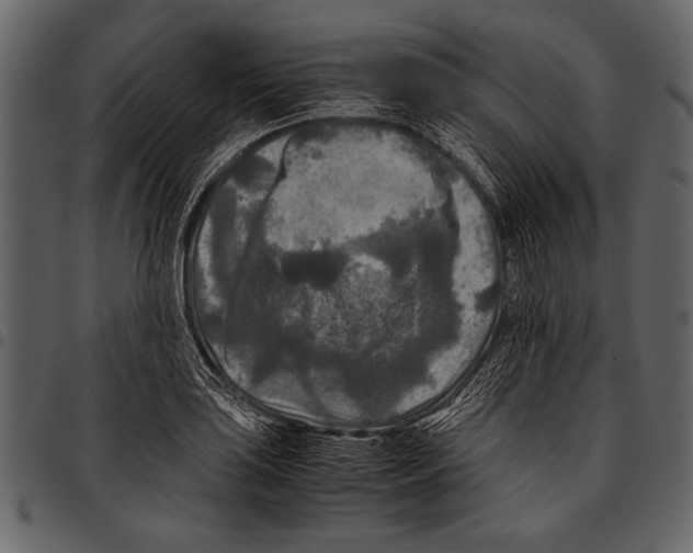 X0000097481035200803201505