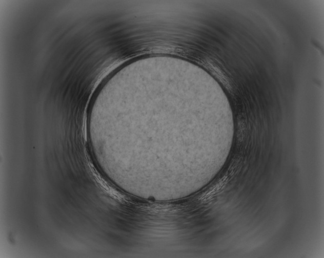 X0000097481036200803201505